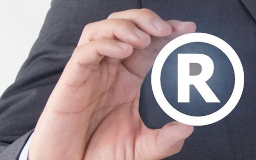 商標(biāo)申請被駁回的原因及應(yīng)對策略